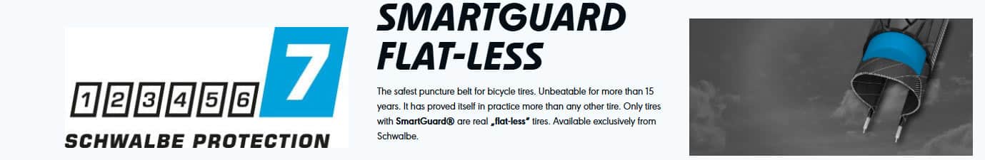 Schwalbe-protection-7